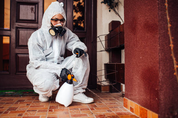 Reliable Cockroach Control contractor in Spencerville, MD by Nex Pest Control